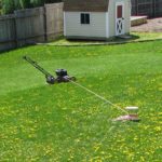Automatic Lawn Mower Viral Video